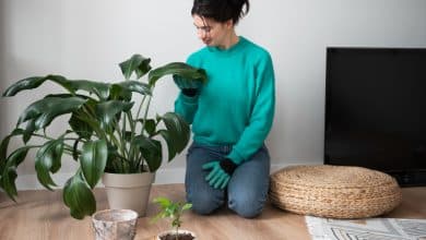 Green Living Tips And Hacks