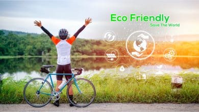 Eco-Spirituality And Nature Connection