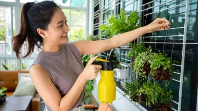 Personal Green Living Challenges