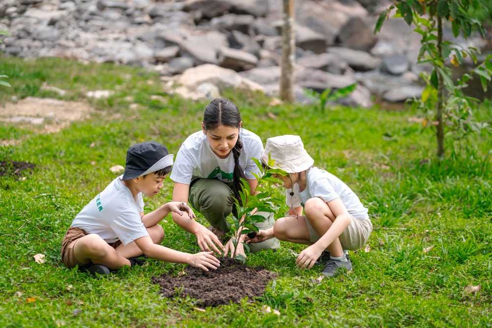 The Importance Of Environmental Education